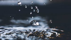 Water1.jpg