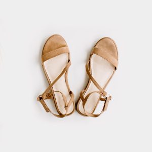 Brown Sleeper